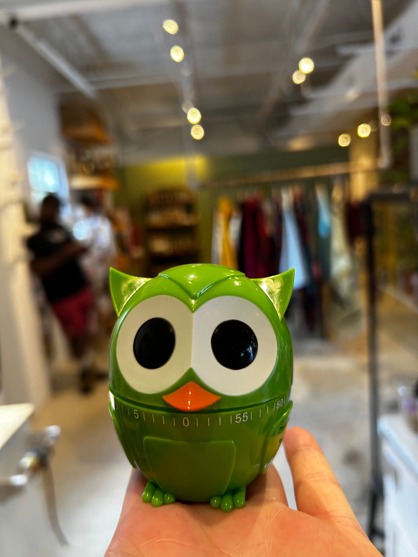 Owl Kitchen Timer