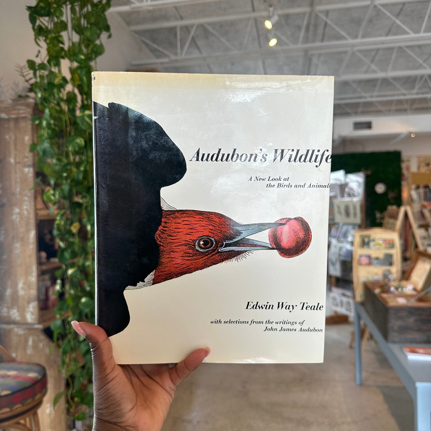 “Audubon’s Wildlife” Book