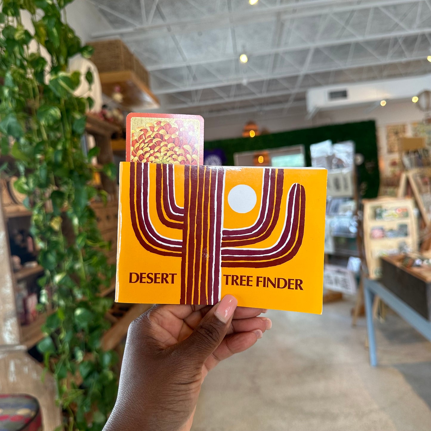 “Desert Tree Finder” Book