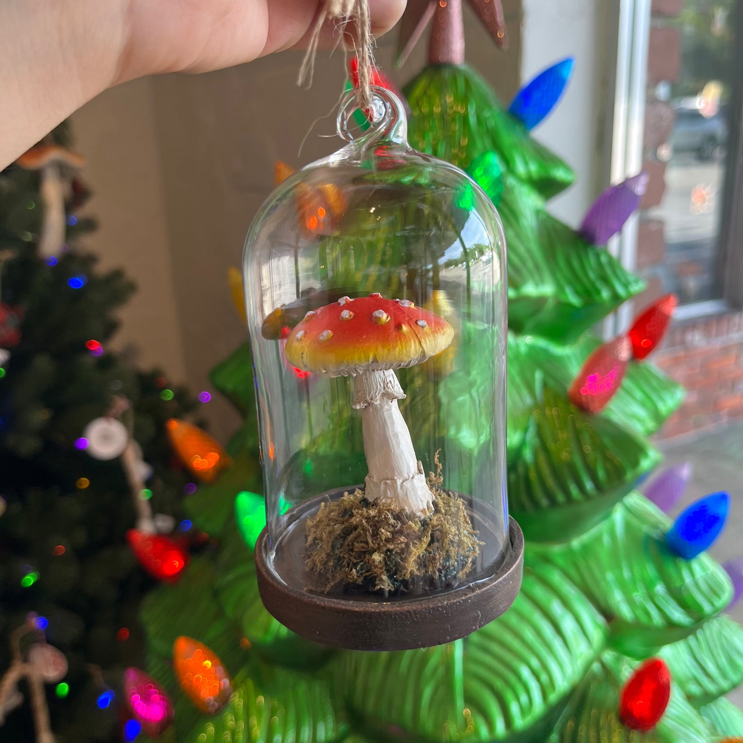 4-1/2”H Glass Cloche w Resin Mushroom