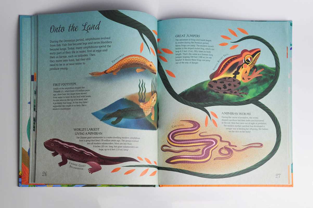 Darwin's Tree of Life by Michael Bright