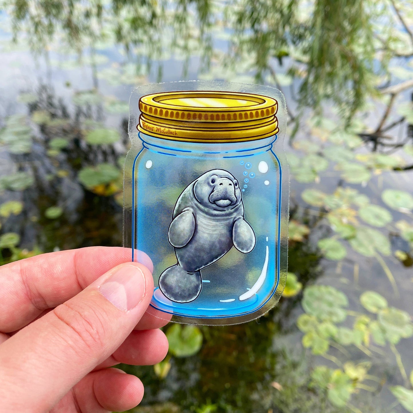 Manatee In A Jar Clear Sticker