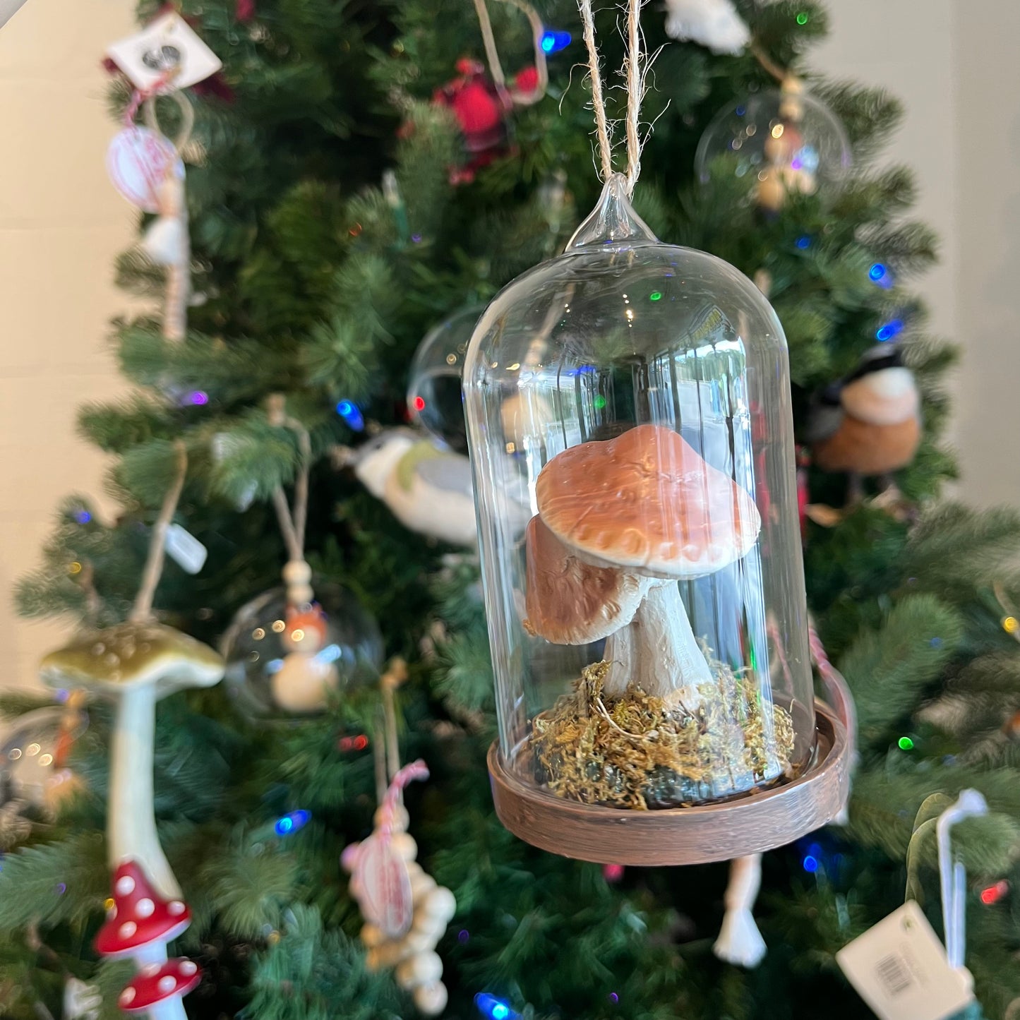 4-1/2”H Glass Cloche w Resin Mushroom