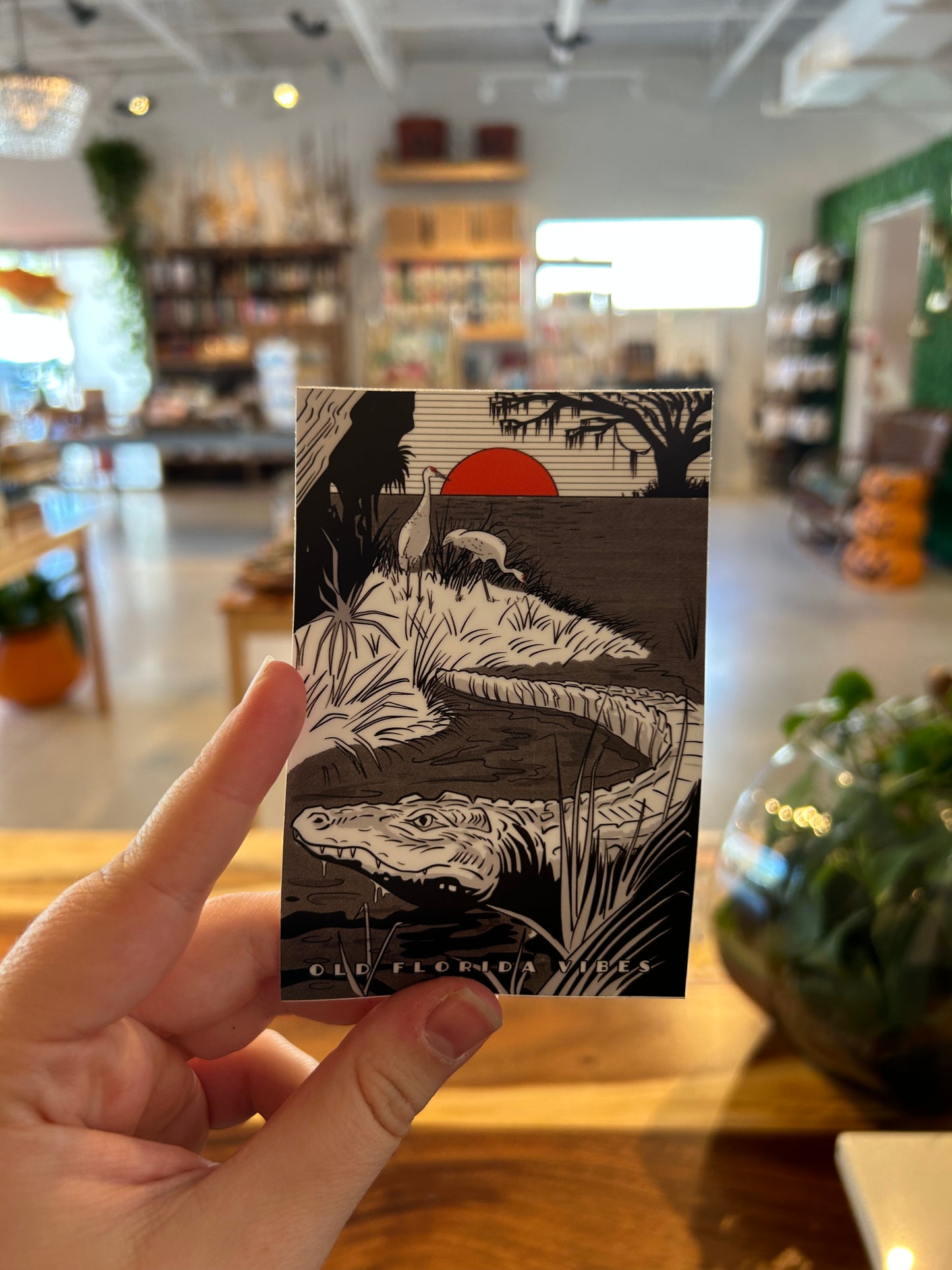 Old Florida Vibes Sticker