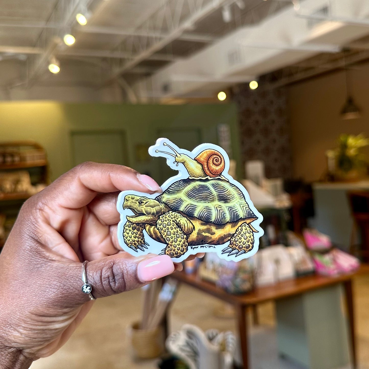 Slow Friends (Tortoise and Snail) Vinyl Sticker