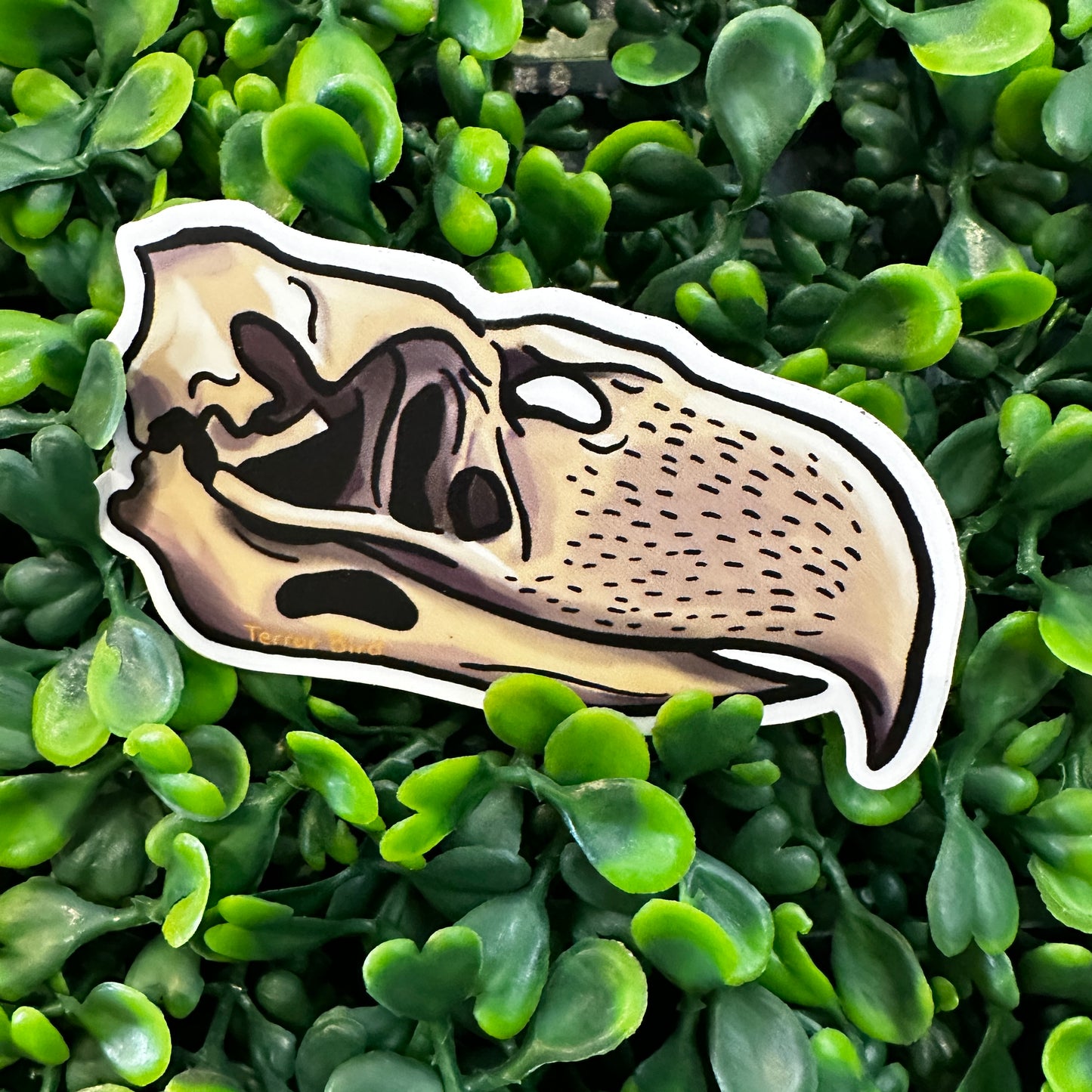 J Clum Skull Stickers