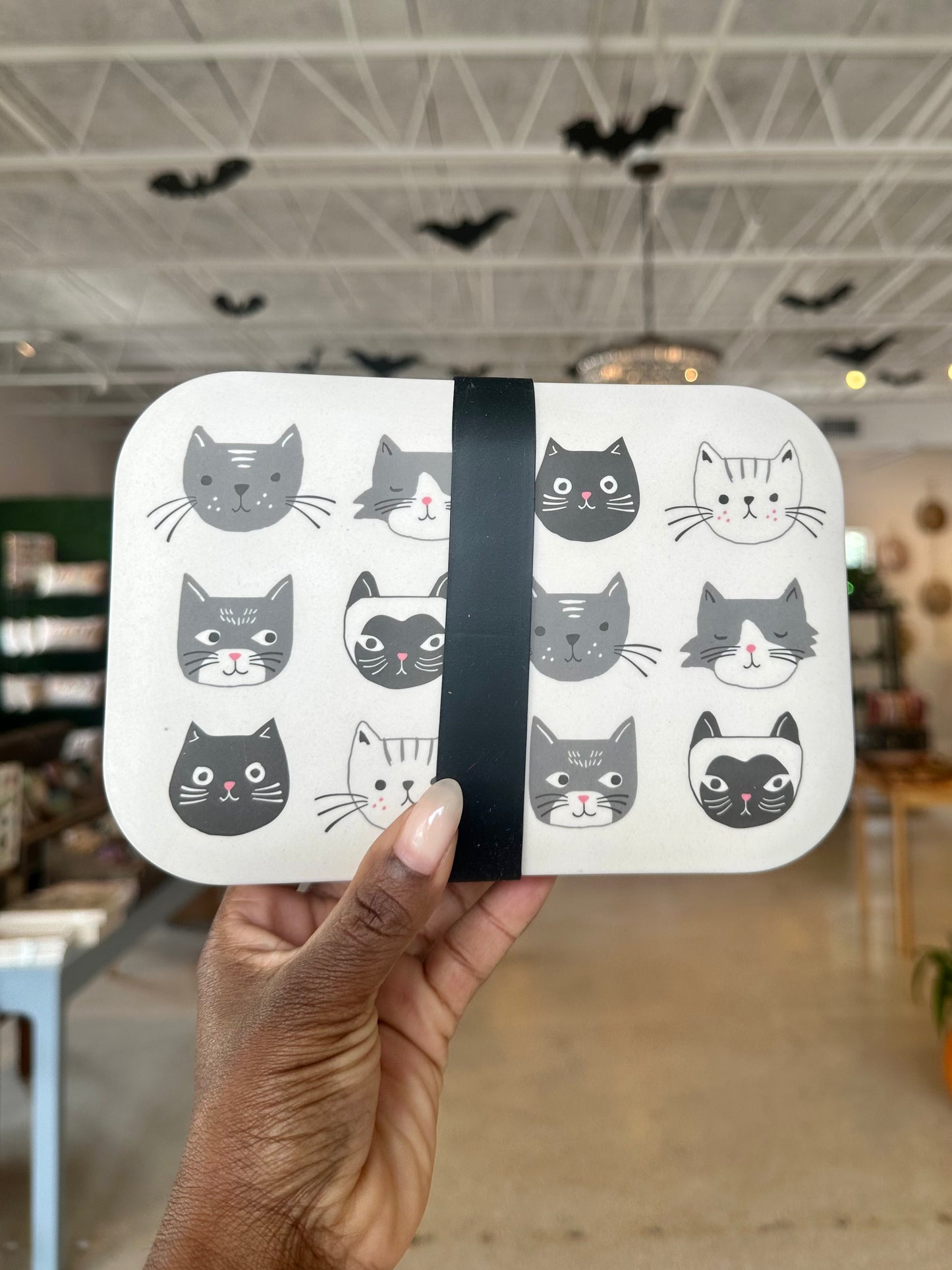 Cat Bento Box