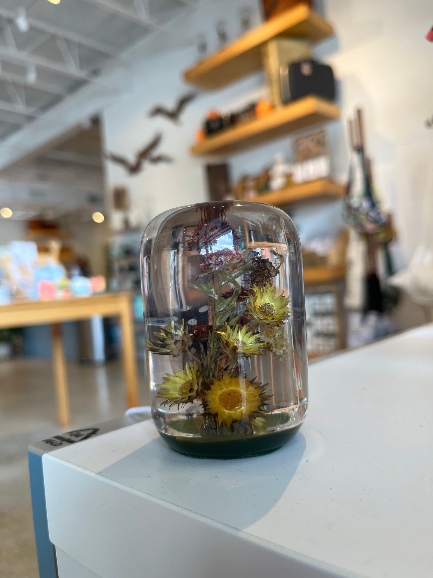 Lucite Dried Flowers Paperweight