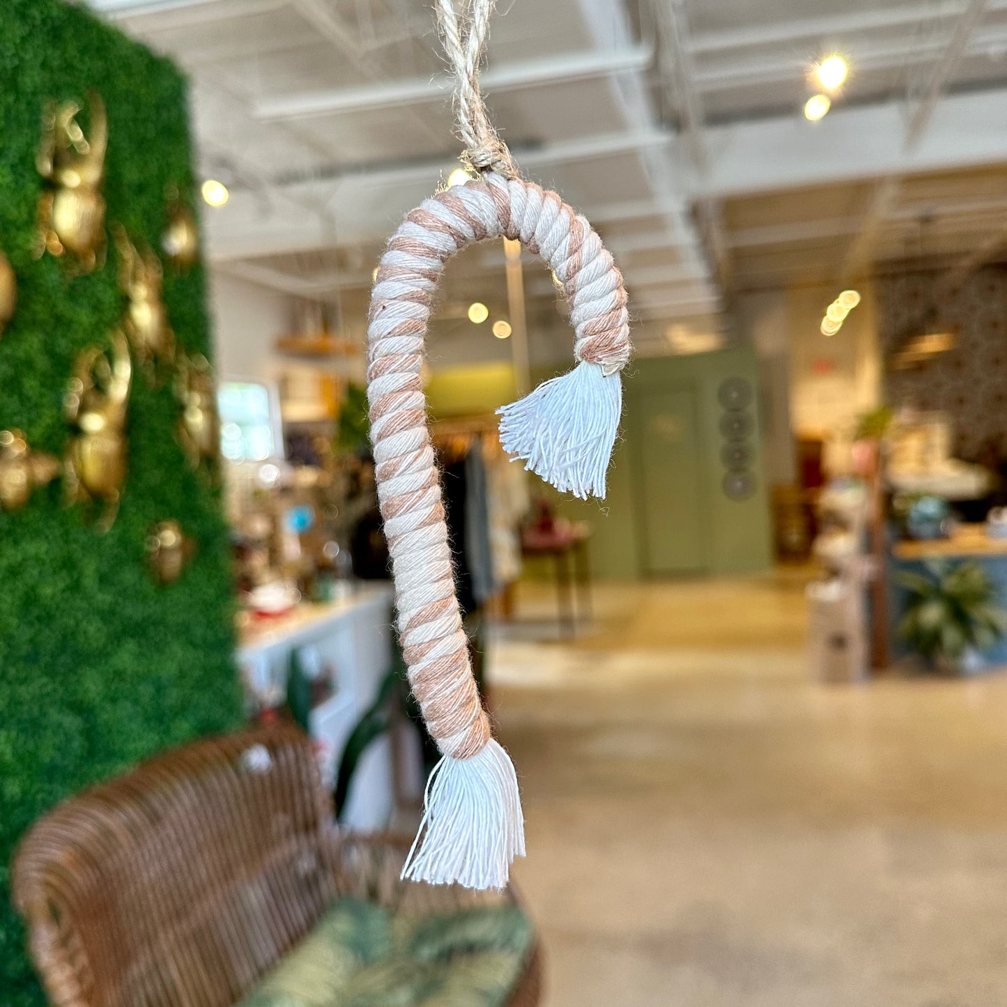 Elevated Plant Love Macrame Ornaments