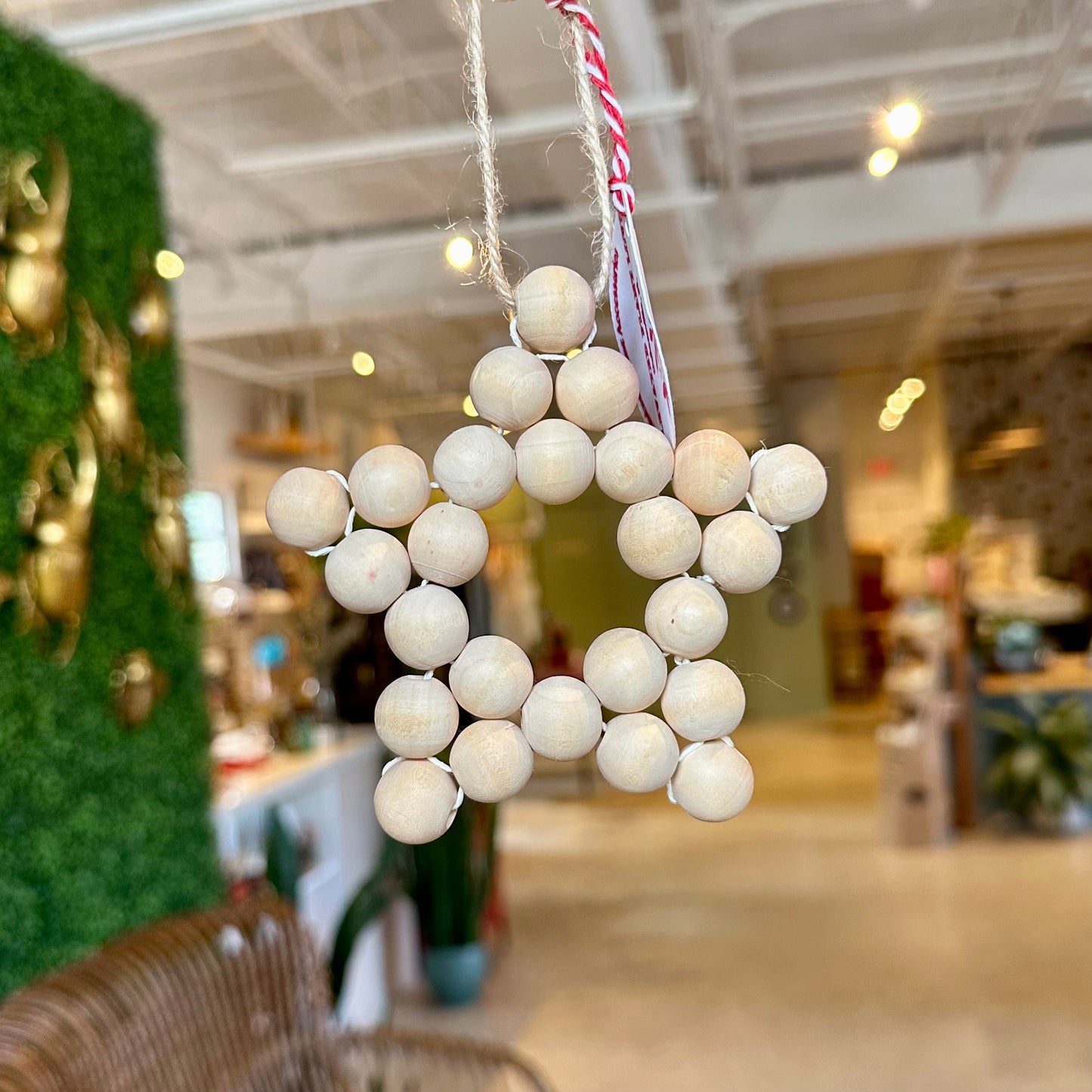 Elevated Plant Love Macrame Ornaments