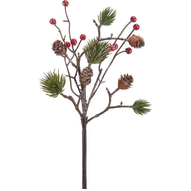 Pine and Berries