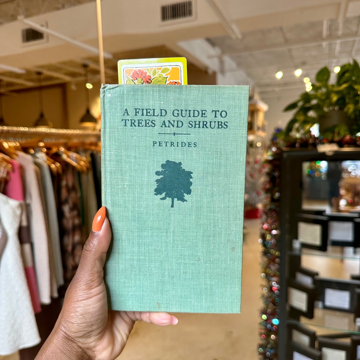 50’s A Field Guide To Trees And Shrubs