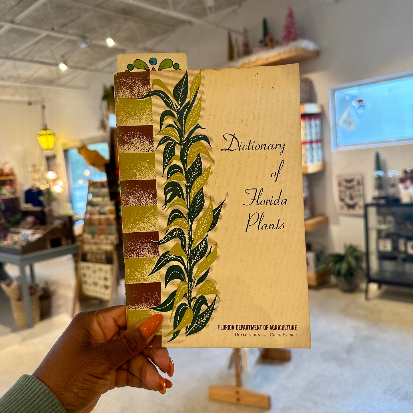 60’s Dictionary Of Florida Plants