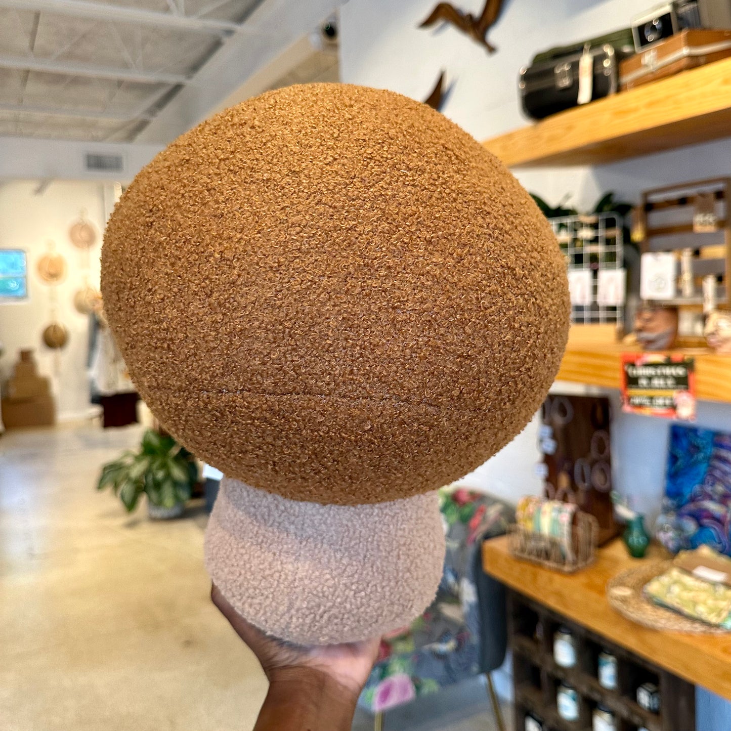 Mushroom Pillow