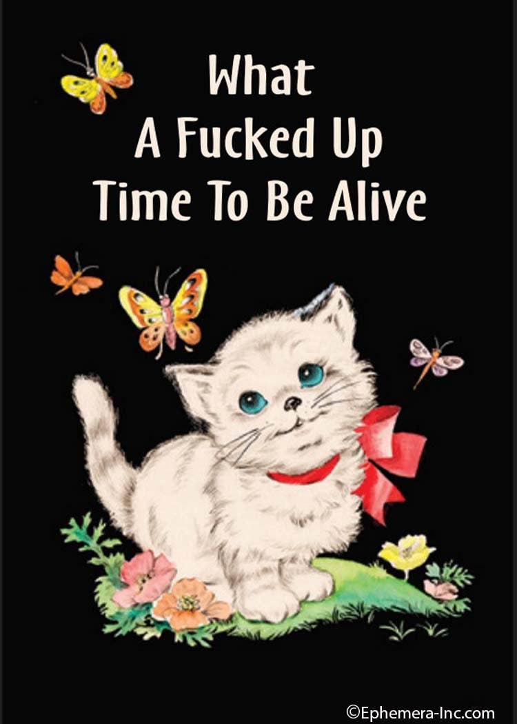 What a Fucked Up Time To Be Alive Magnet