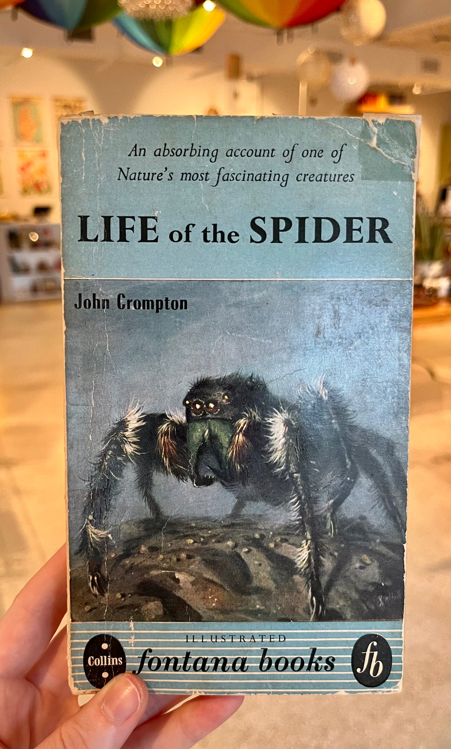 The Life Of The Spider Book