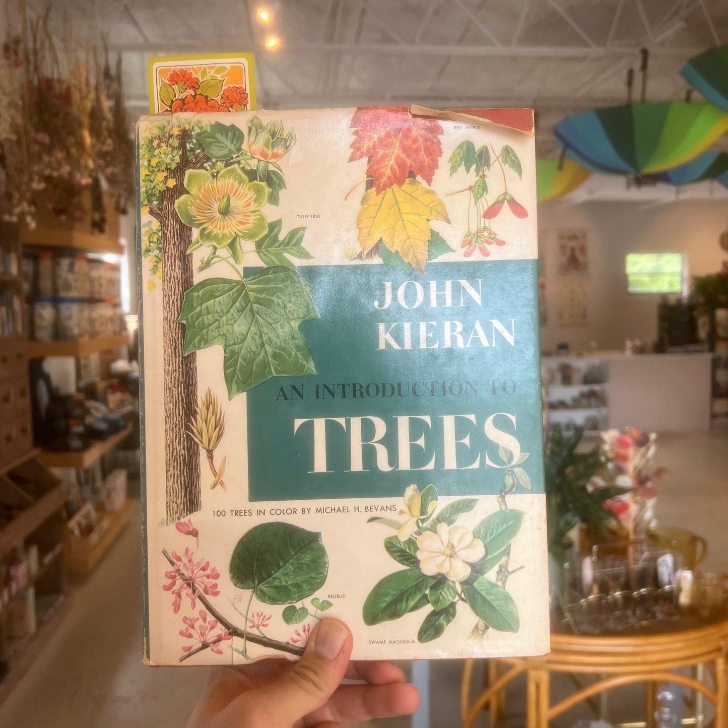 An Introduction To Trees Book (1954)