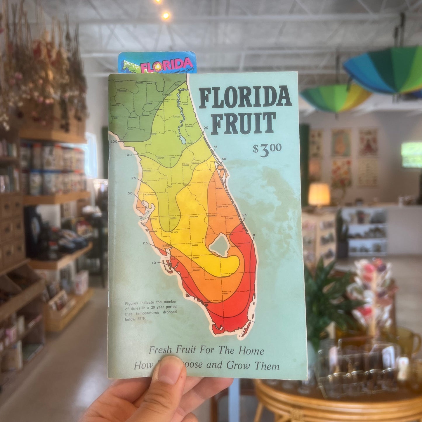 Florida Fruit Book