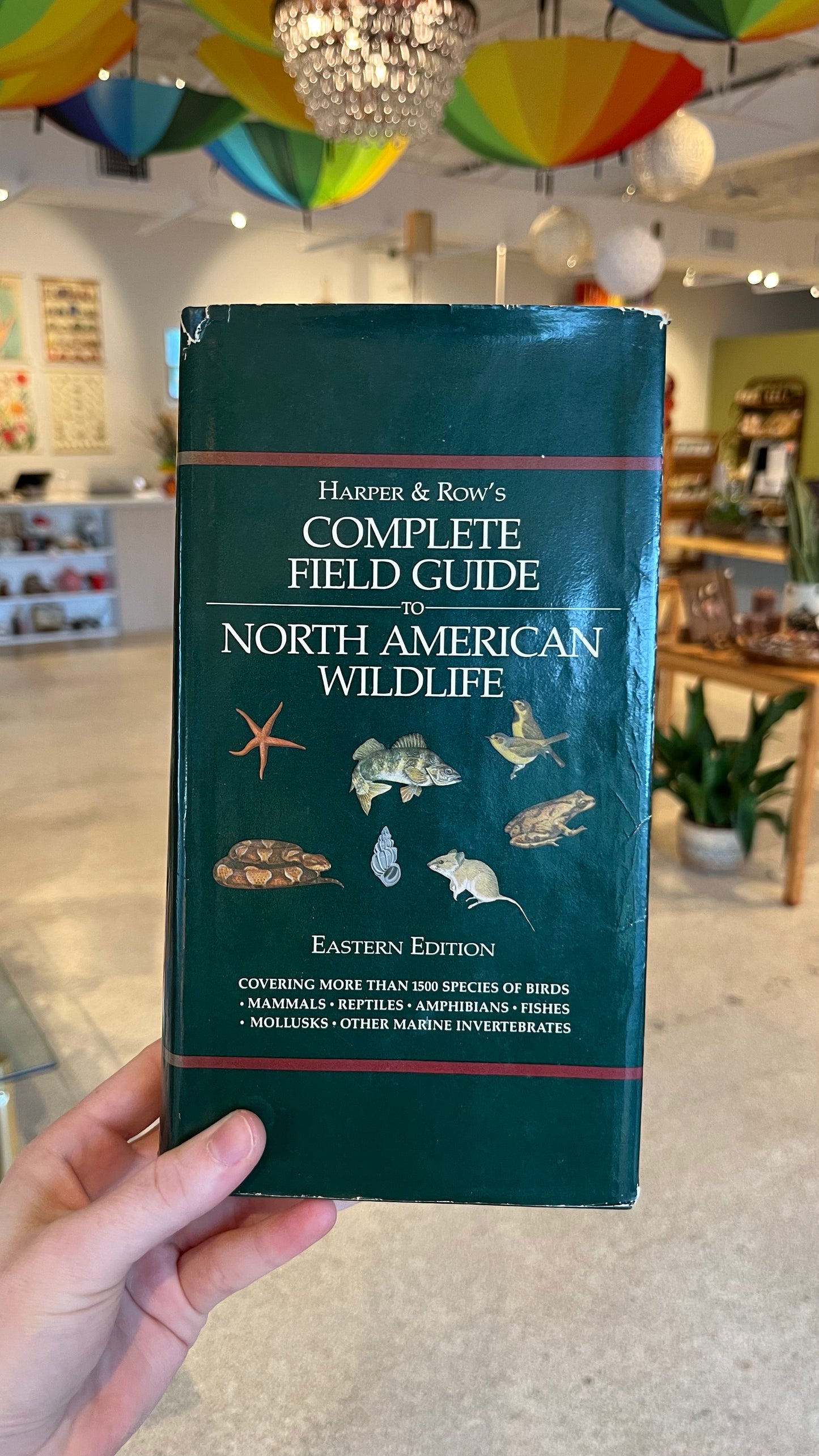 Harper & Row’s Complete Field Guide To North American Wildlife