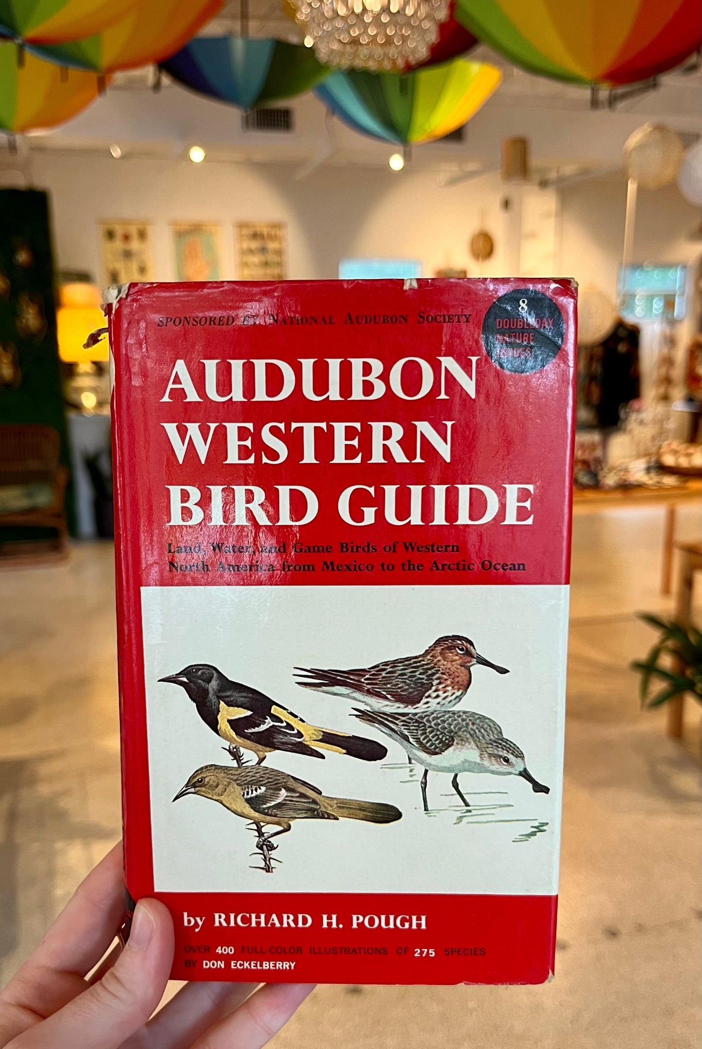 Audubon Western Bird Guide