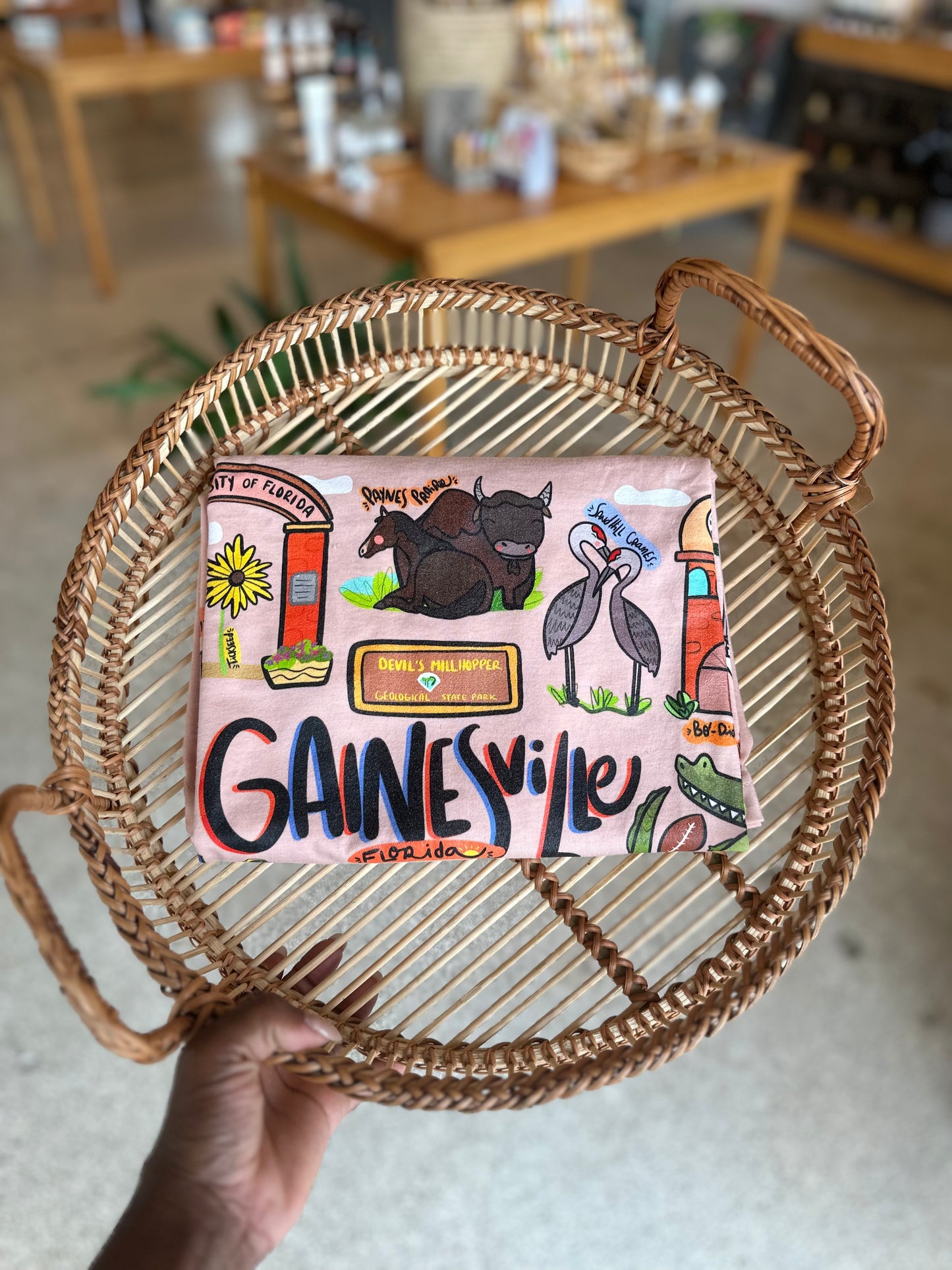 Gainesville Volume 2 T-Shirt