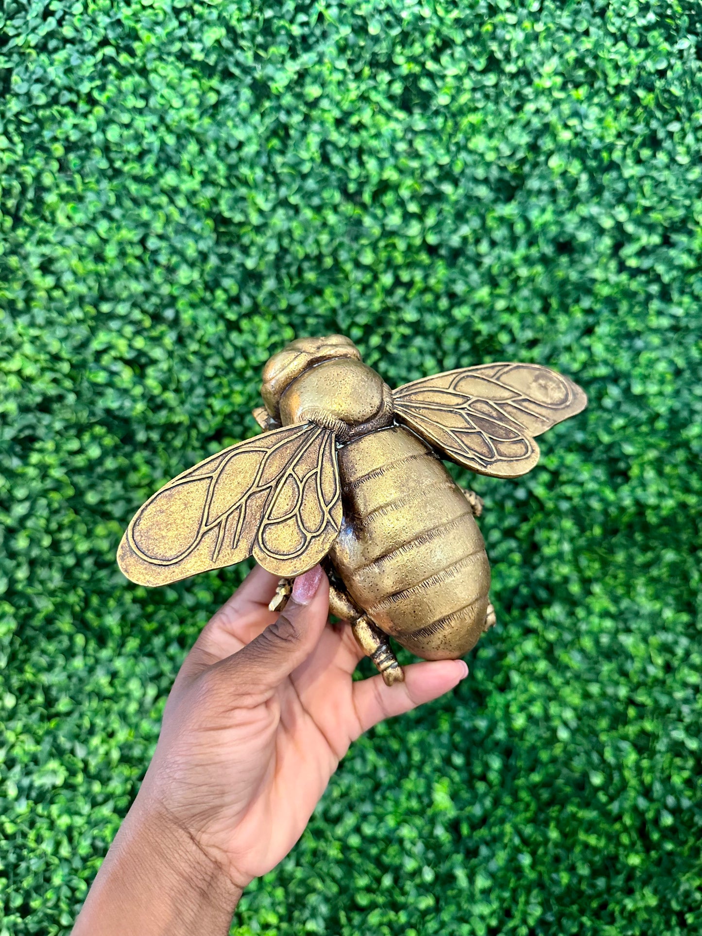 Beetle wall decor