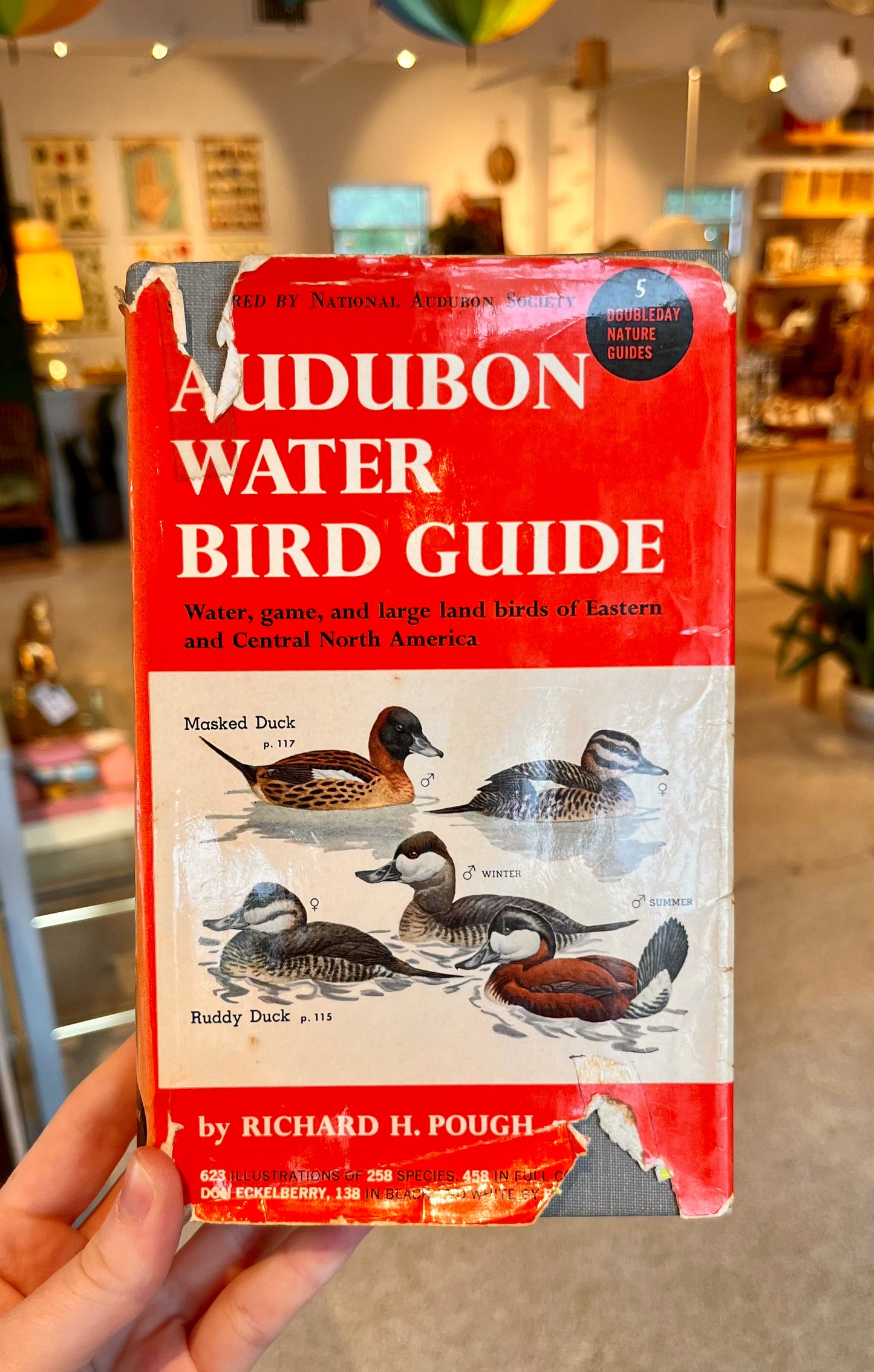 Audubon Water Bird Guide