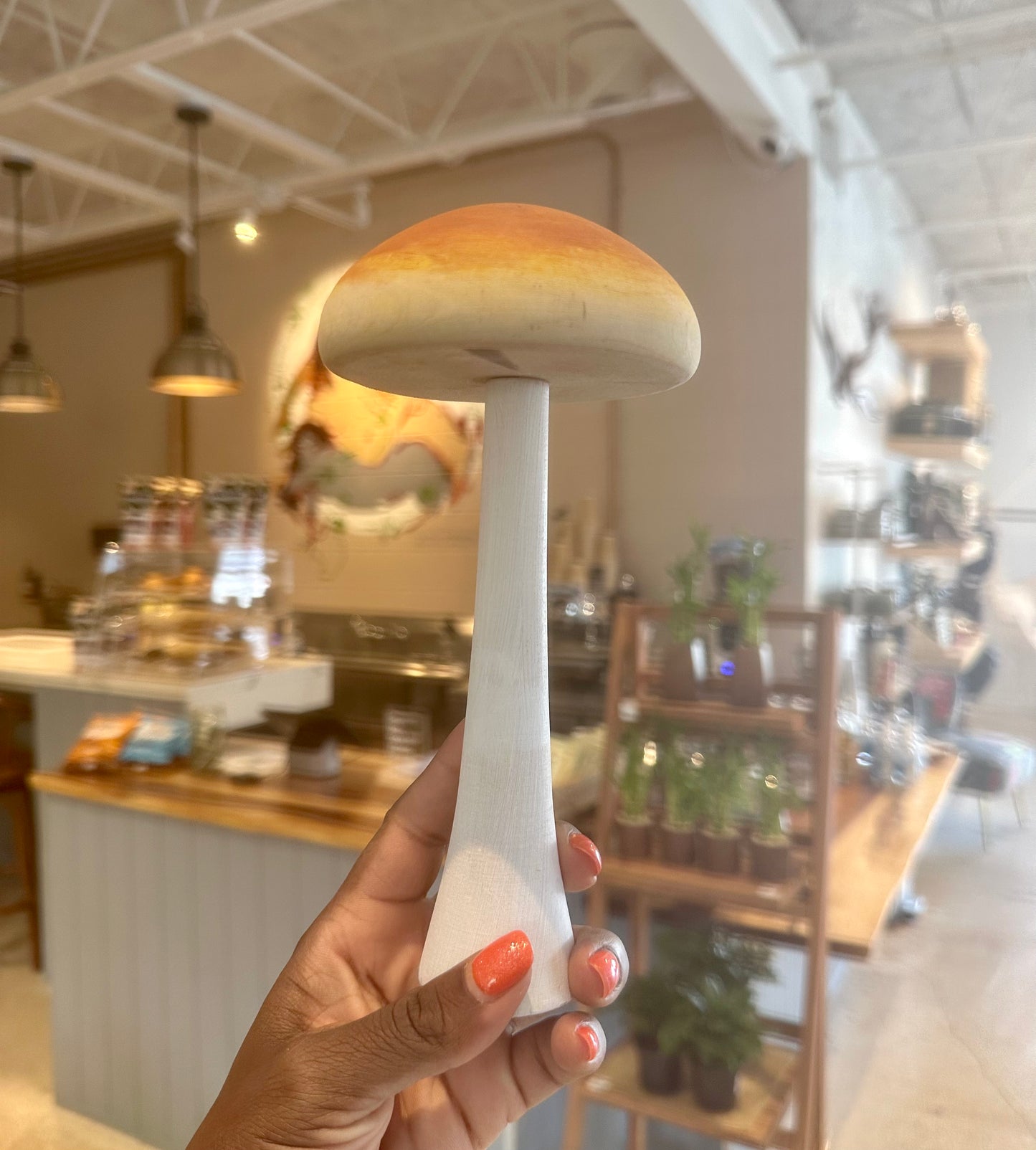 Mushrooms
