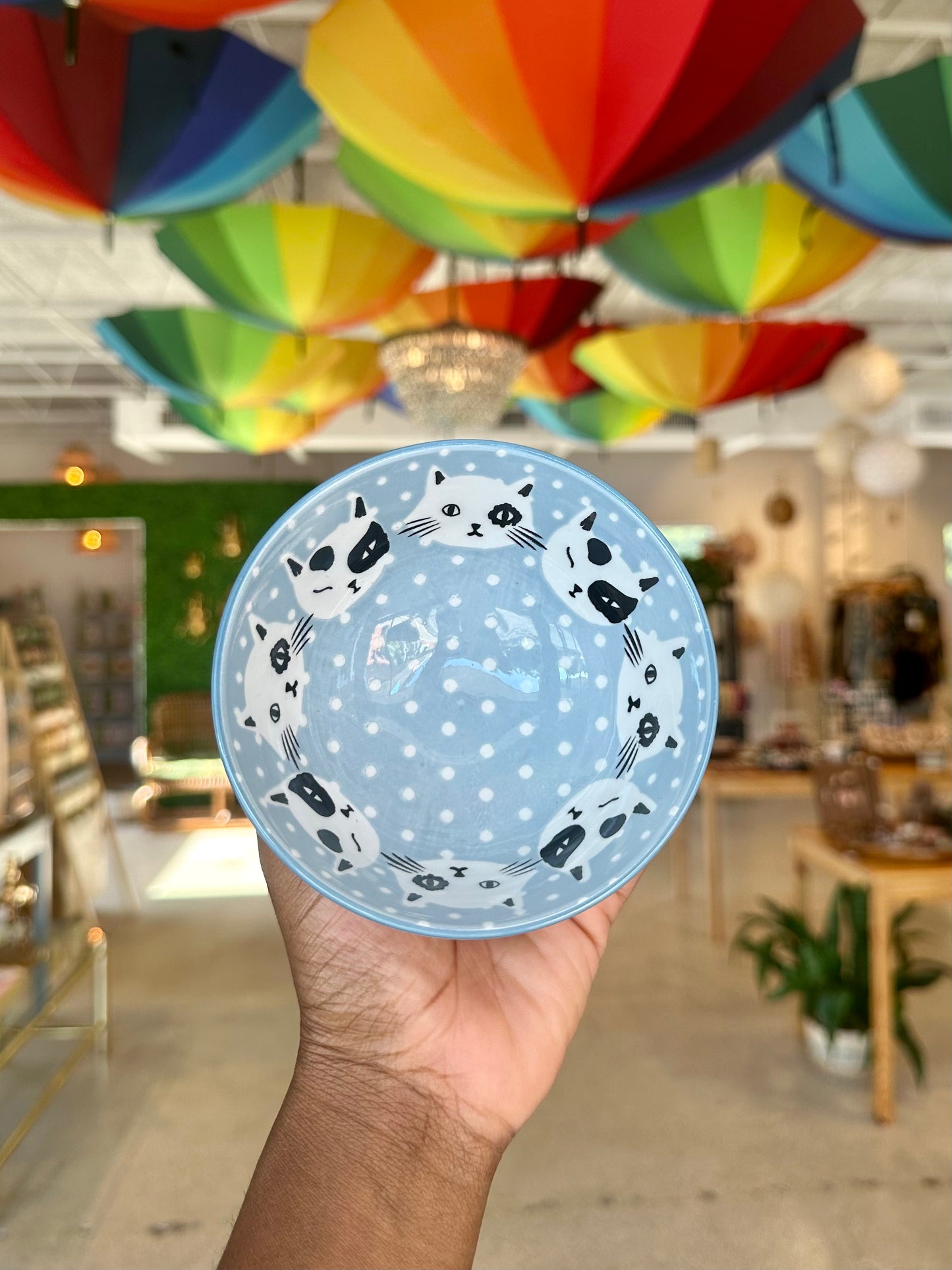 Feline Fine Bowl