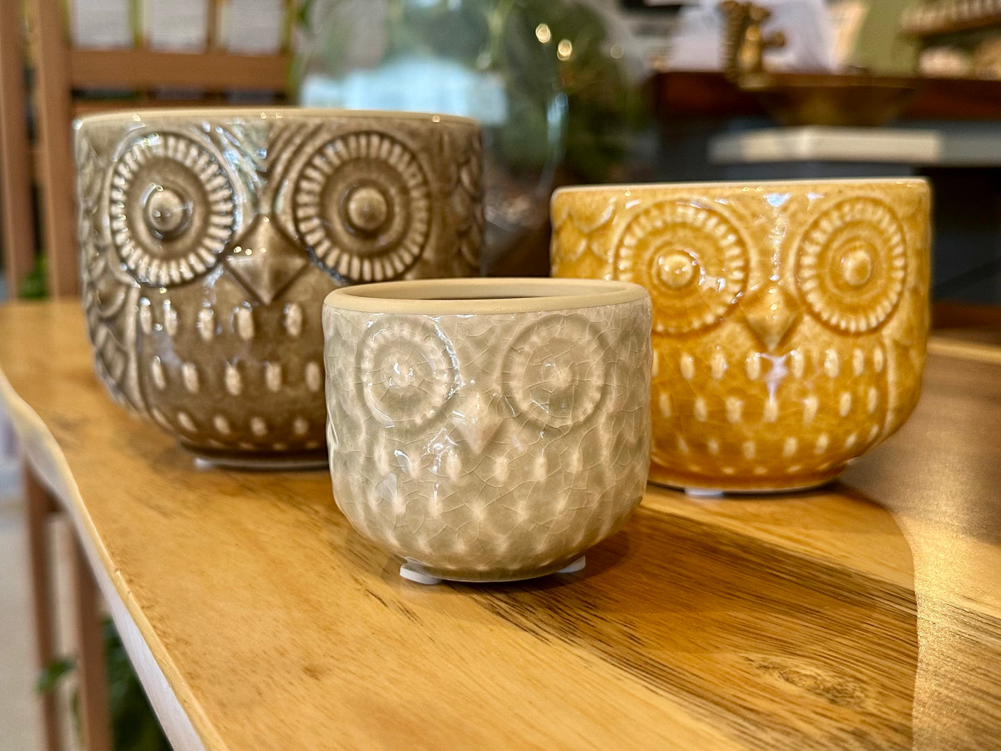 Decorative Stoneware Owl Containers