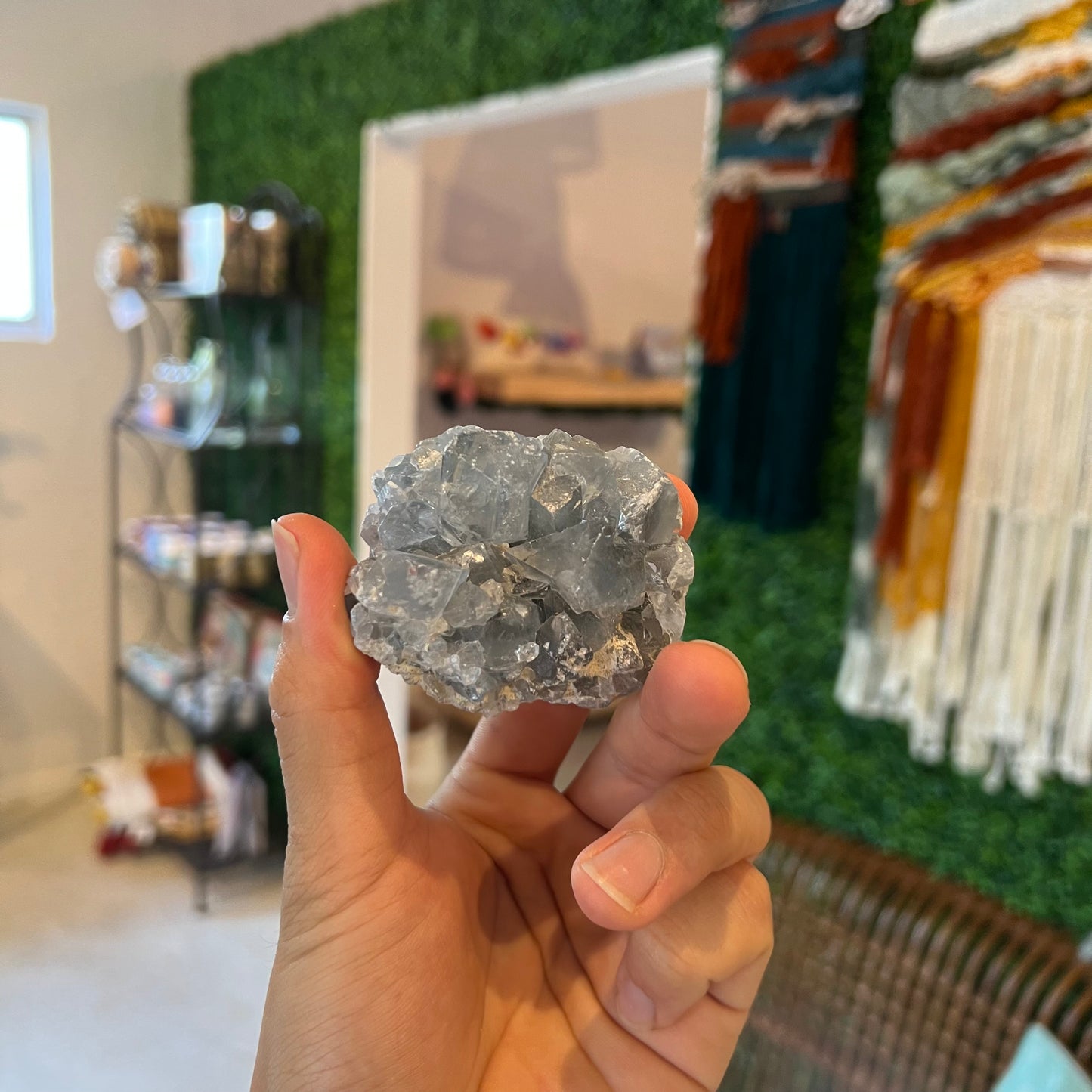 Ocean Jasper