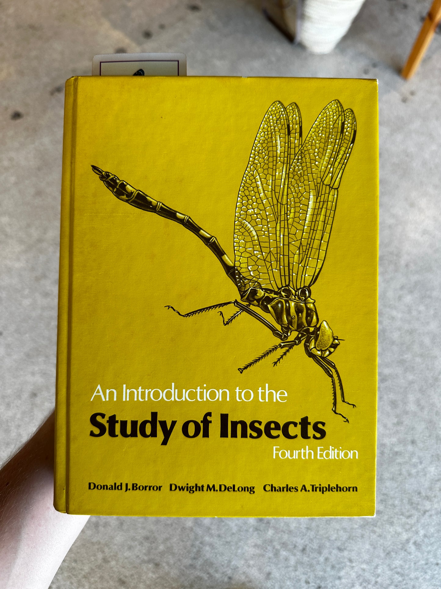 ‘76 “An Intro To The Study Of Insects” Book