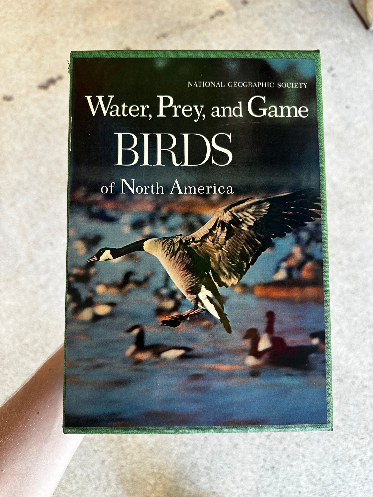 70’s National Geographic Bird Box Set (2 Books)
