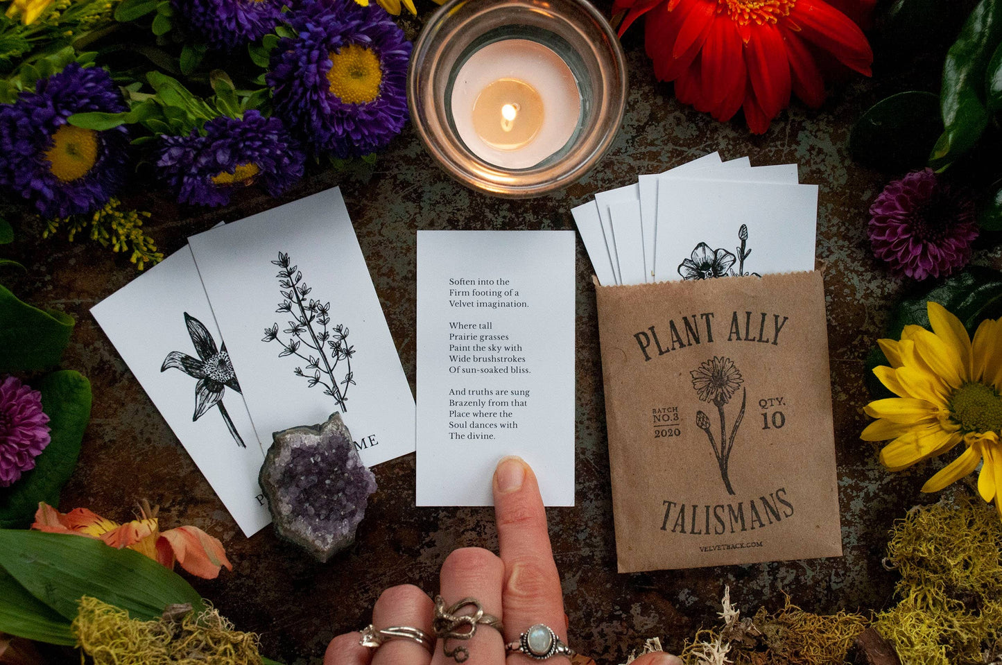 Vol 3 Plant Ally Talisman Cards Mini Poetry Oracle Deck