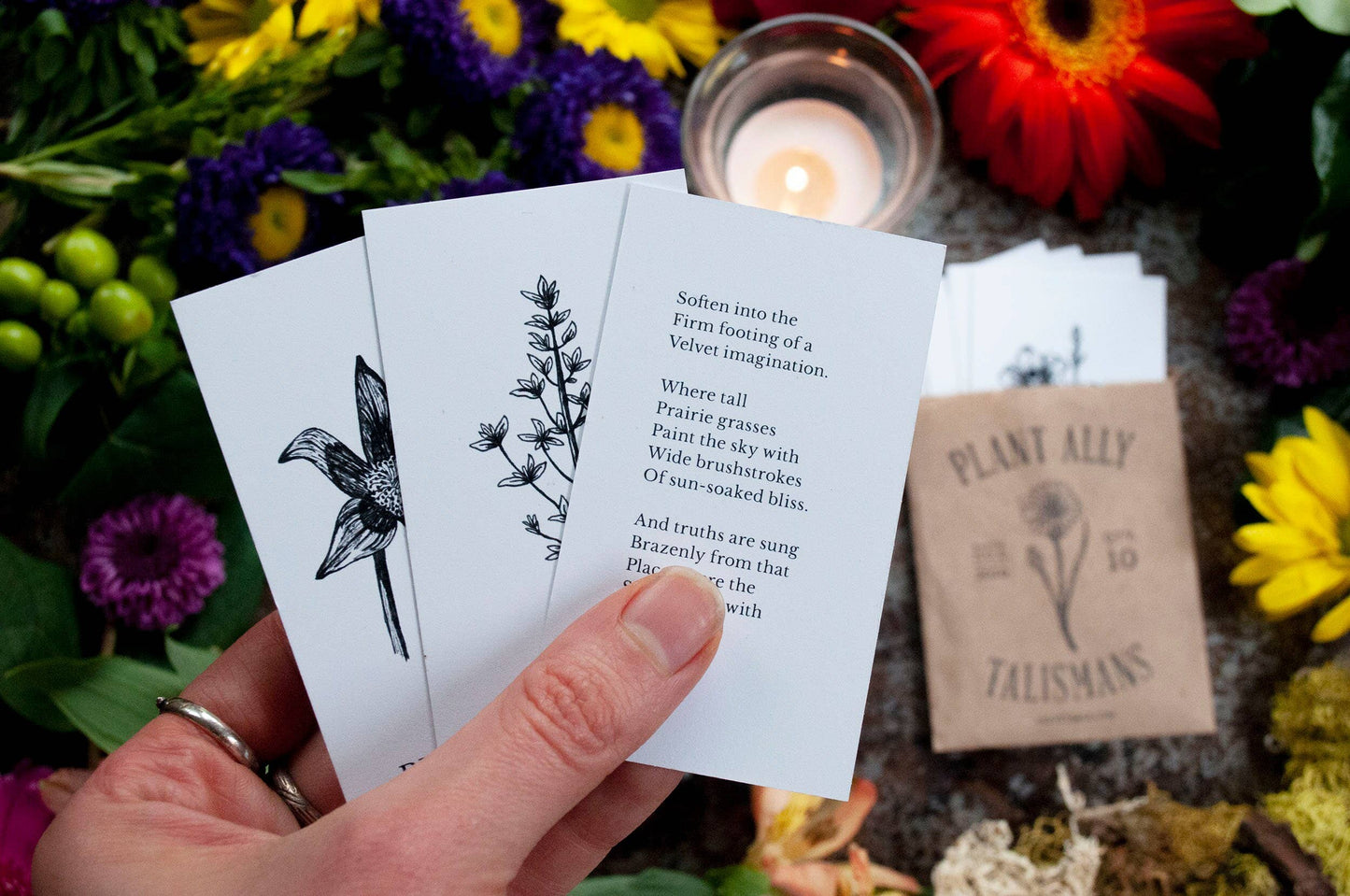 Vol 3 Plant Ally Talisman Cards Mini Poetry Oracle Deck