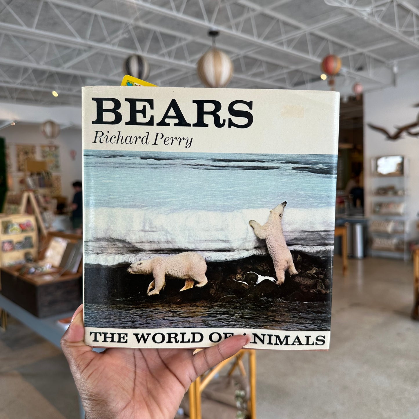 “Bears The World of Animals” Book