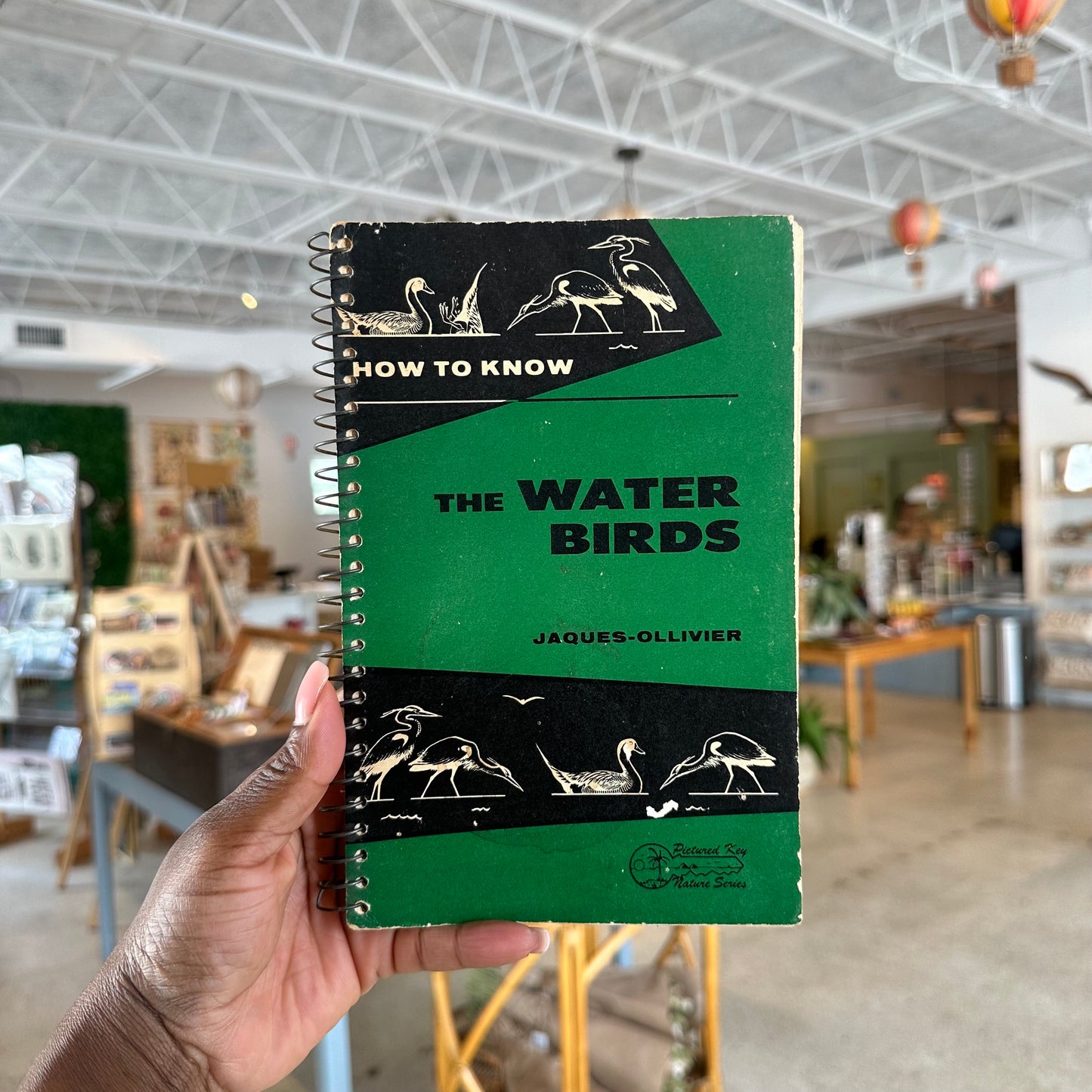 60’s “How To Know The Water Birds” Book