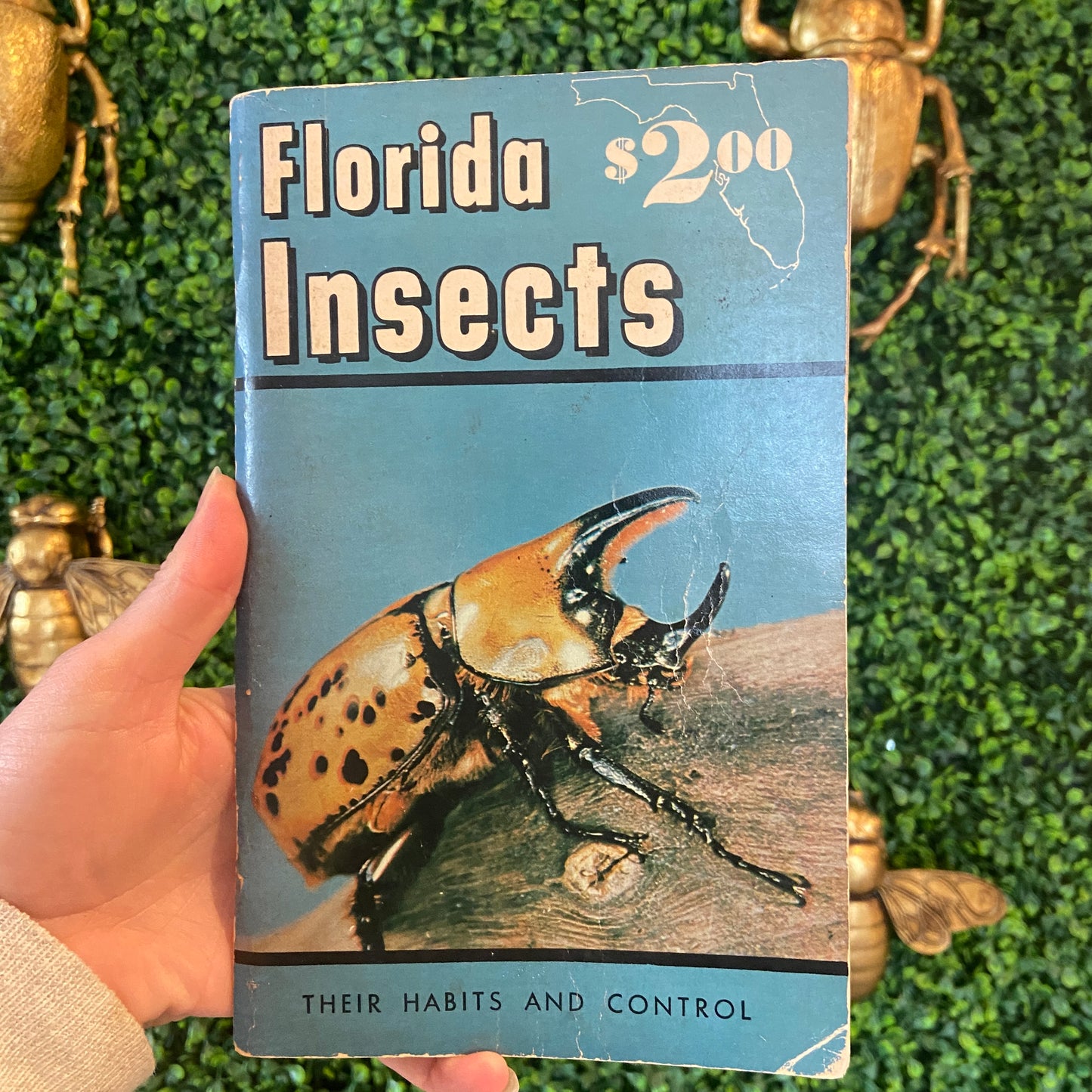Florida Insects Book