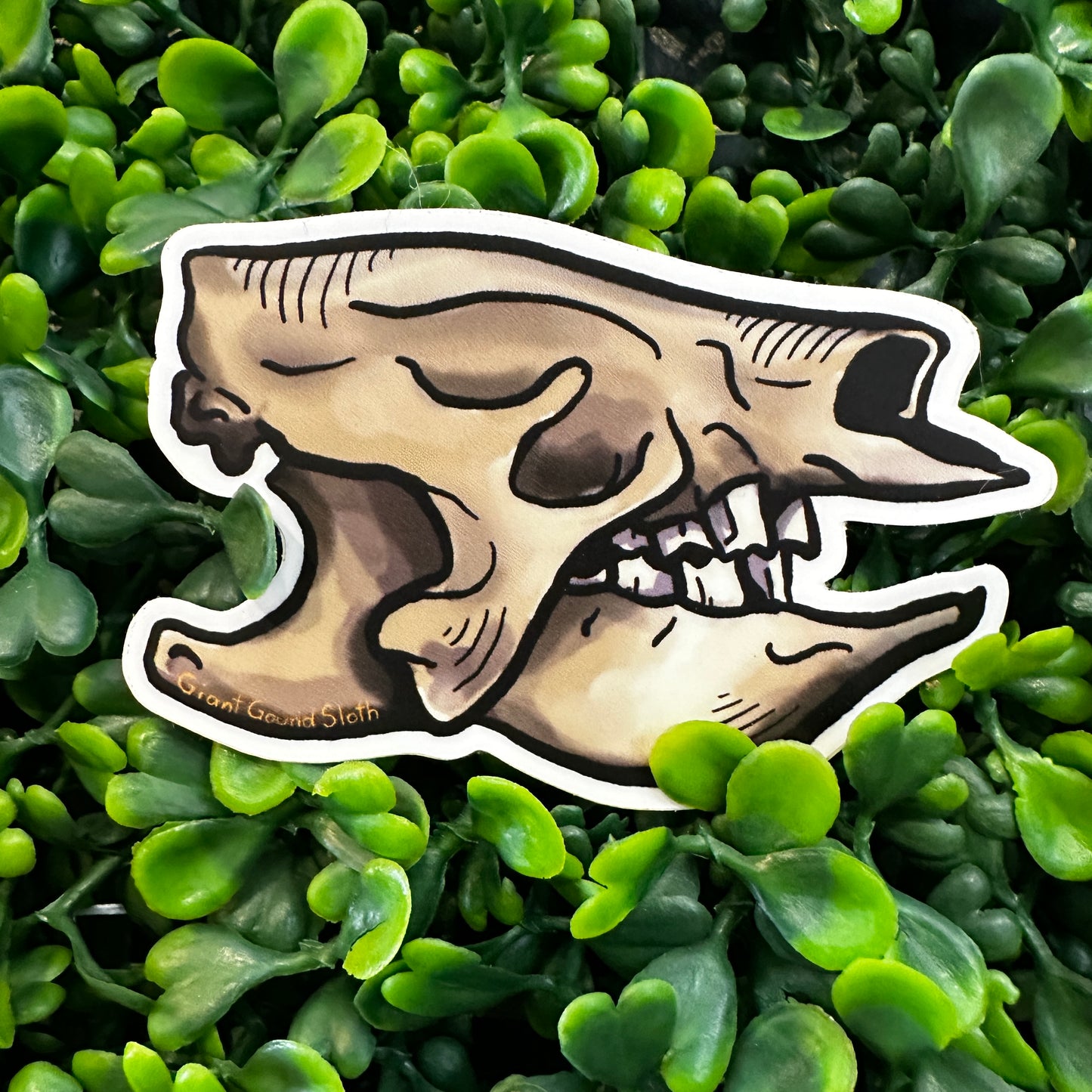 J Clum Skull Stickers