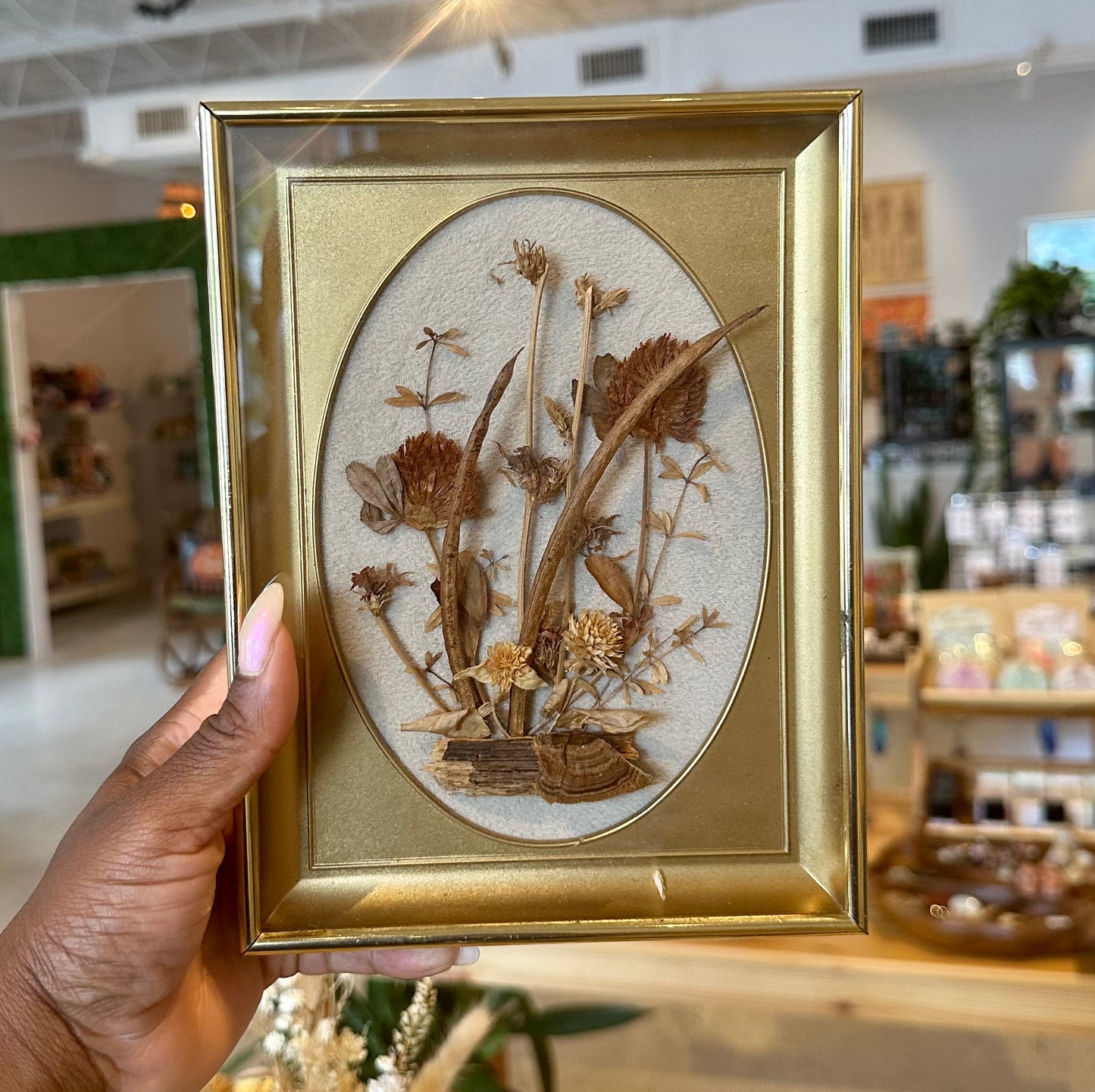 Framed Dried/Pressed Flower Art