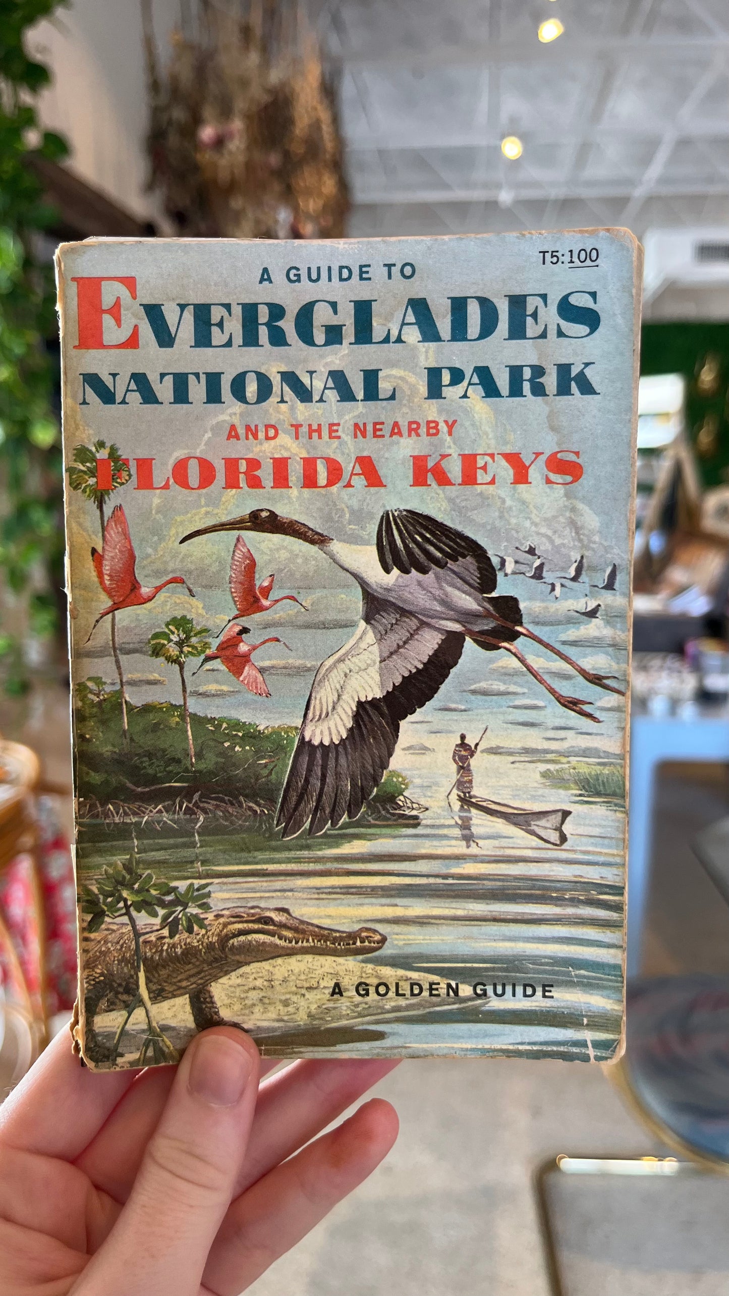 60’s A Guide To Everglades National Park Book