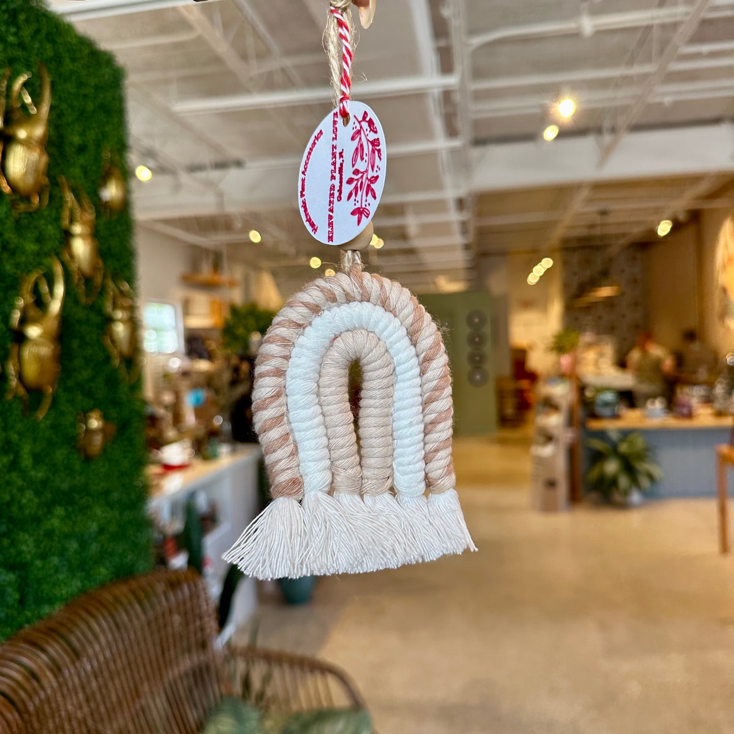 Elevated Plant Love Macrame Ornaments