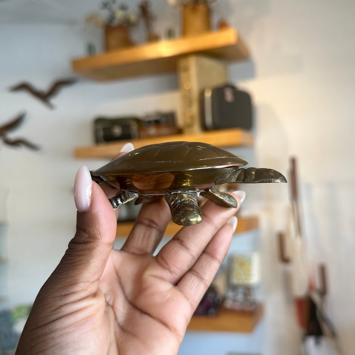 Brass Lidded Turtle Trinket Tray