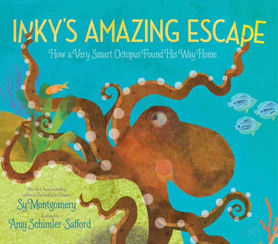 Inky's Amazing Escape by Sy   Montgomery