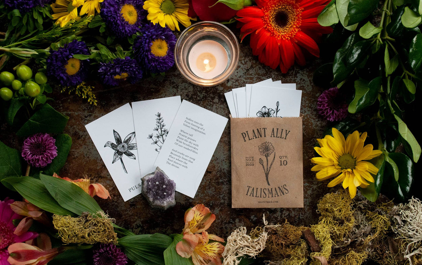 Vol 3 Plant Ally Talisman Cards Mini Poetry Oracle Deck