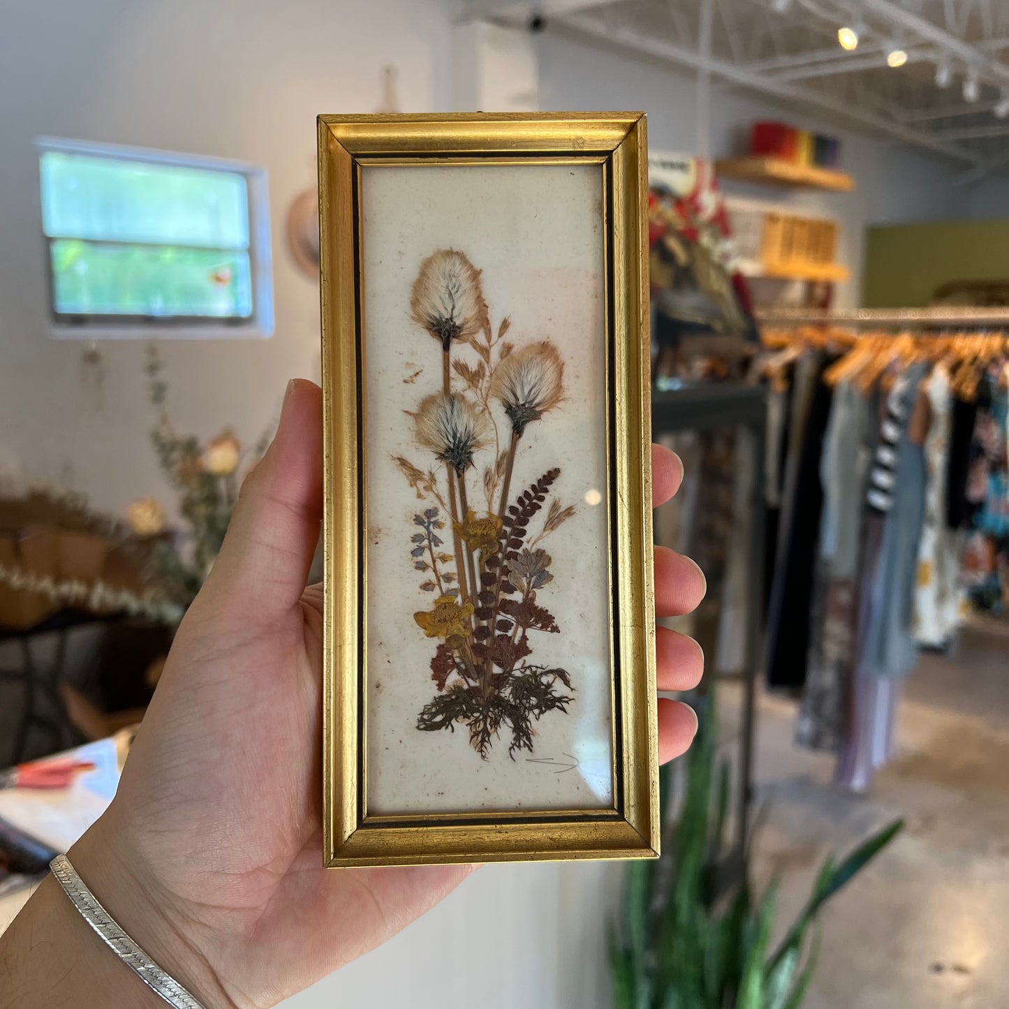 Austria Dried/Pressed Floral Wall Hanging (Small)