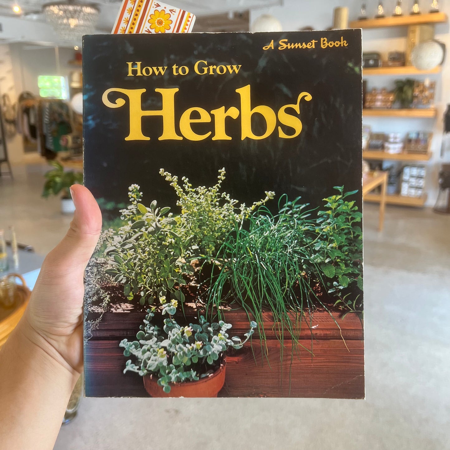 How to Grow Herbs Book
