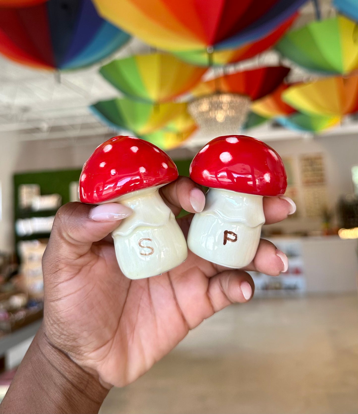 Hand Painted Ceramic Mushroom Salt and Pepper Shakers