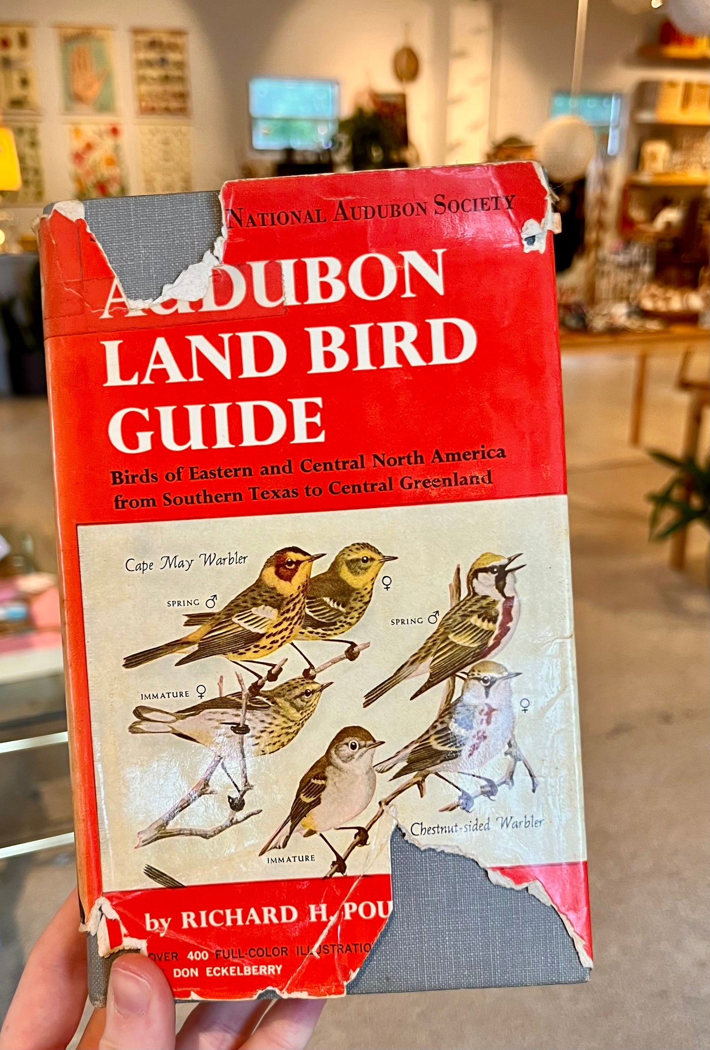 Audubon Land Bird Guide