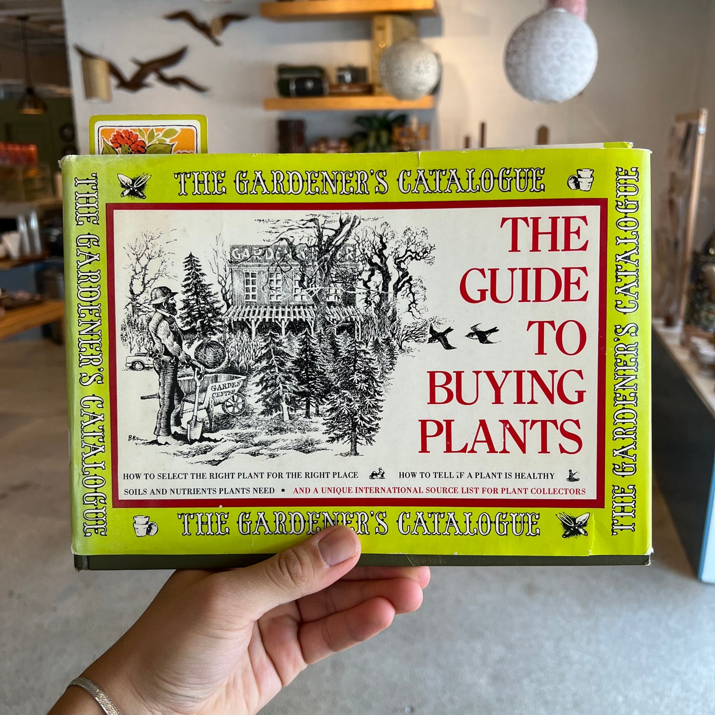 70s Guide To Buying Plants
